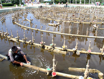 Beer fountain in Harbin