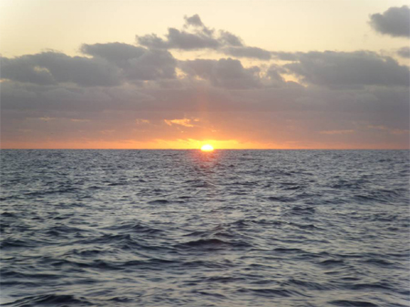 Photos taken by the crew of QINGDAO from Western Australia to Indonesia