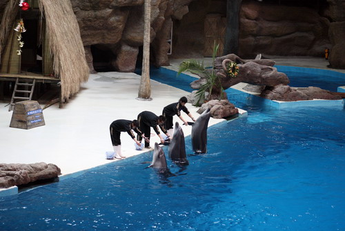 Activities in World Leisure Expo