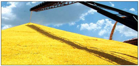 Getting more out of China's major granary