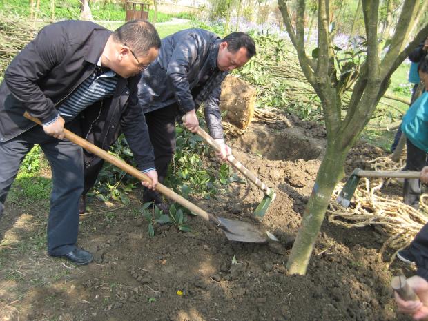 市規劃局義務植樹添新綠