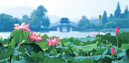 Hangzhou continues to captivate