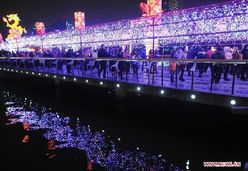 Lantern show held to celebrate Spring Festival