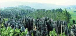 Towering grandeur of Naigu stone forest in Yunnan