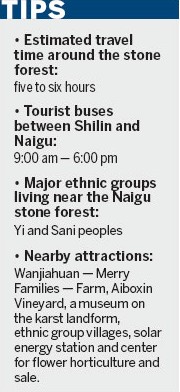 Towering grandeur of Naigu stone forest in Yunnan