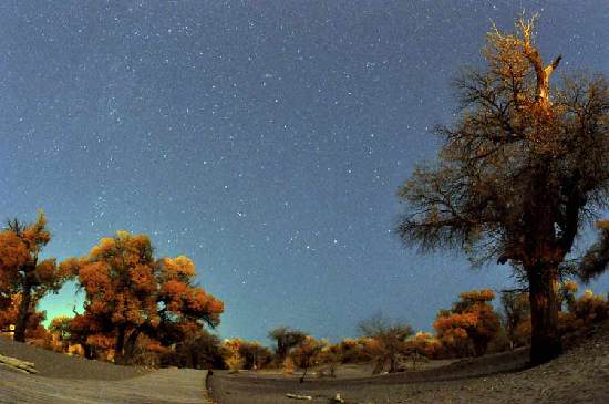 Take a train to Ejin