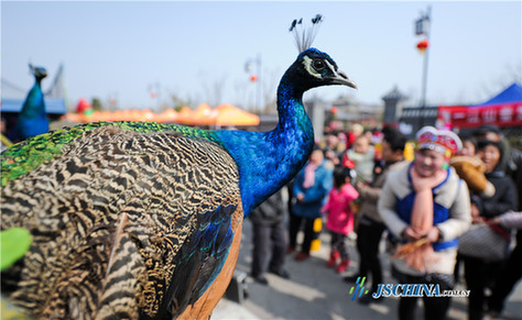 Temple fair attracts crowds in Suqian