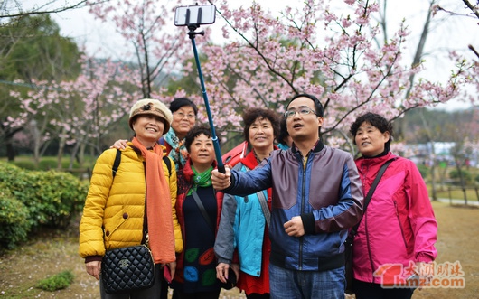 Enjoy spring colors and flavors at Yuantouzhu International Cherry Festival