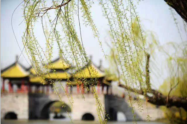 Explore the best of Yangzhou in spring