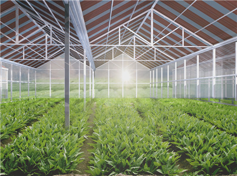 農(nóng)業(yè)應(yīng)用