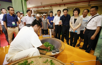 Tea tourism expo attracts visitors in Zhanjiang