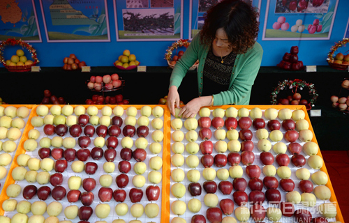 Longnan inks 1.29b yuan contracts