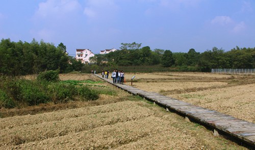 Finding serenity in Gaochun