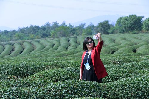 Finding serenity in Gaochun