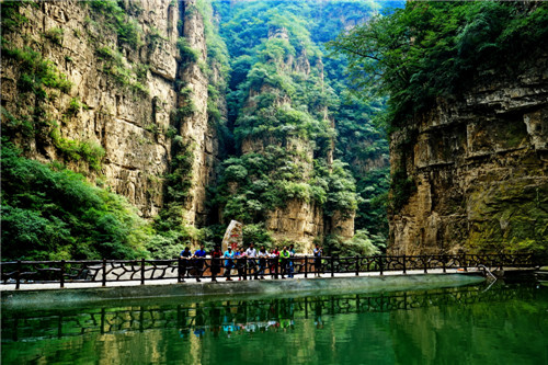 IV. Red autumn leaves in a canyon