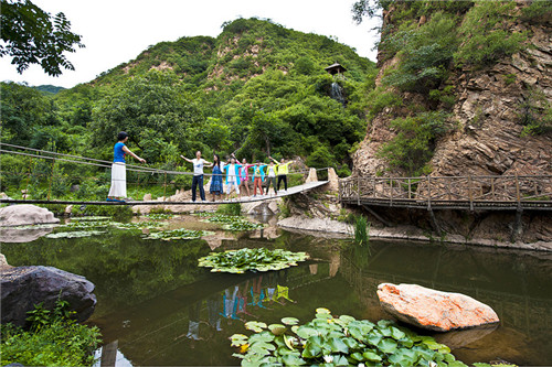 V. Red autumn leaves near ponds