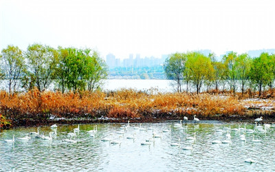 Sanmenxia authorities send a clear message against polluters