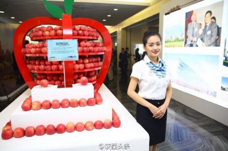 MFA Presenting Chinese Provinces for Shaanxi