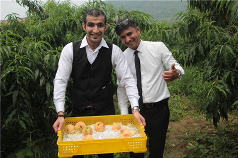 Expats explore the sweetness of summer in Yangshan town