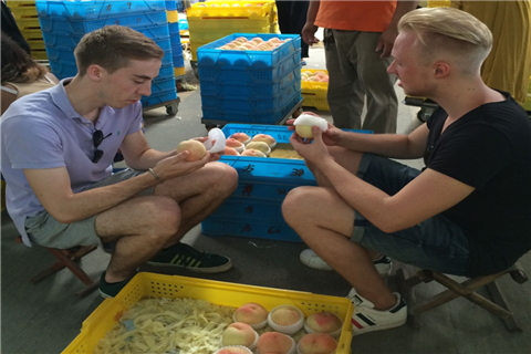 Expats explore the sweetness of summer in Yangshan town