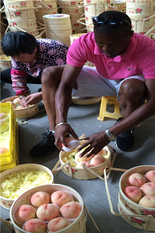 Expats explore the sweetness of summer in Yangshan town