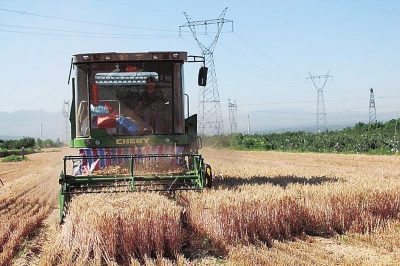 Sanmenxia sees a bumper wheat harvest