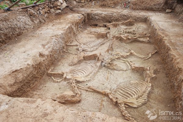 Tomb complex reveals ancient relics in Henan province