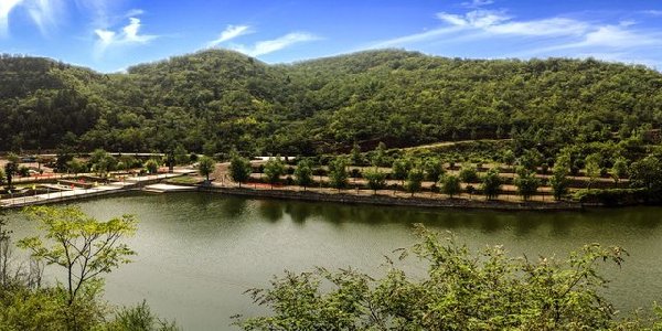 Picturesque scenes of summer