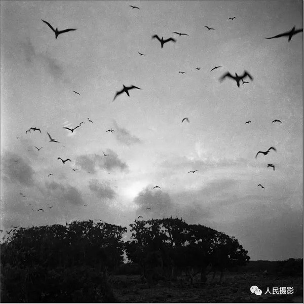 Face to face interview with Sun Zhenjun — a versatile artist