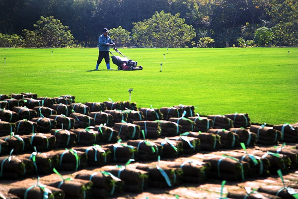 Changzhou village combines modern, traditional expertise