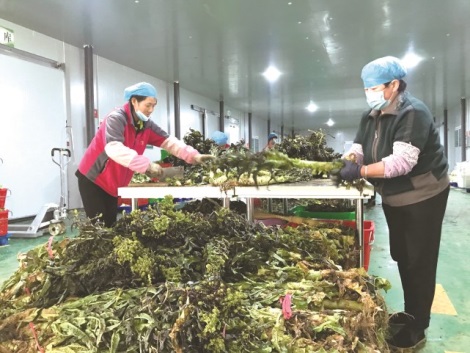 Siming contributes to Linxia's poverty alleviation