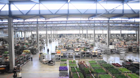 漢能將與Rooftop Energy合作在荷蘭安裝大型光伏項(xiàng)目