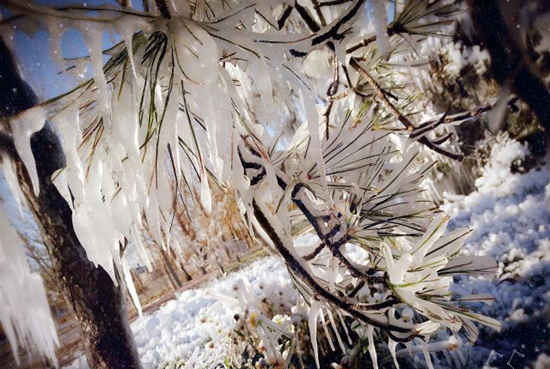 Beautiful snow-covered landscape at Binhe park