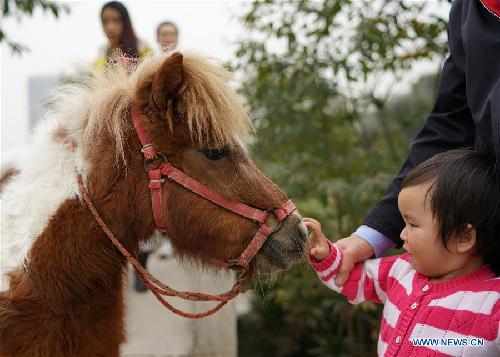 Wetland park in 
