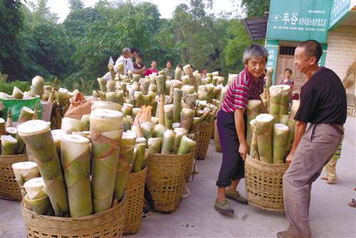 Grain for Green raises money in the mountains of Chongqing