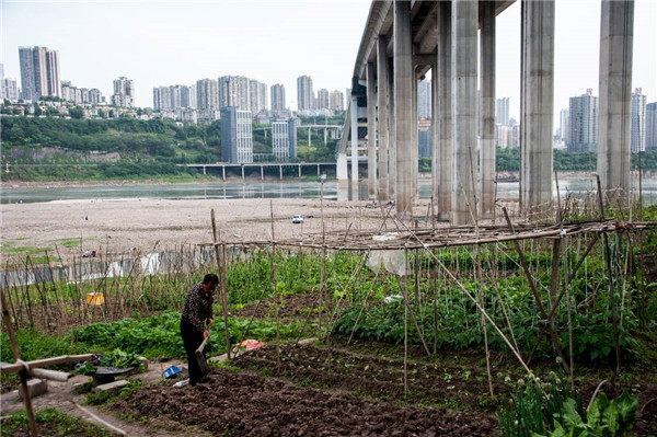 Photographer captures life in ‘City of Bridges’