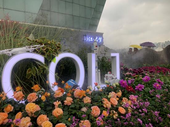Flower expo blossoms in Chongqing