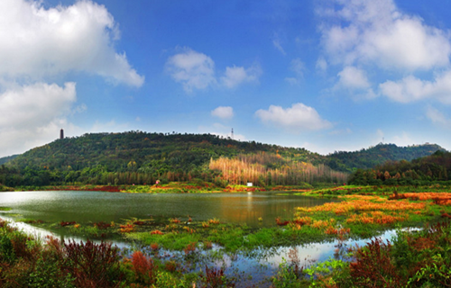 Industrial Development in Liangjiang New Area: Chongqing New North Zone