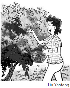 A very berry, merry experience in Beijing's suburbs