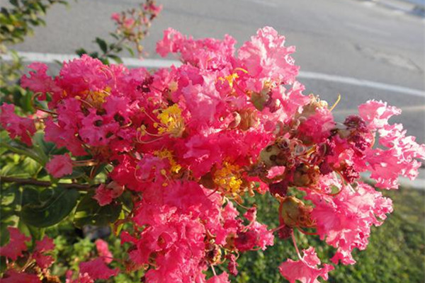 Journey to the Silk Road - Malaysia