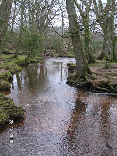 Journey to the Silk Road - UK