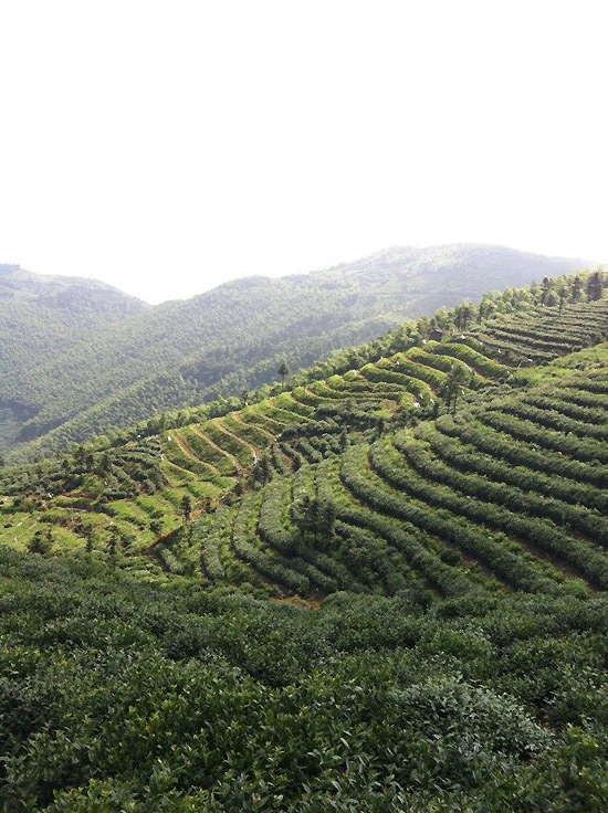 Journey to the Silk Road - Zhejiang