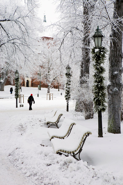 Journey to the Silk Road - Finland