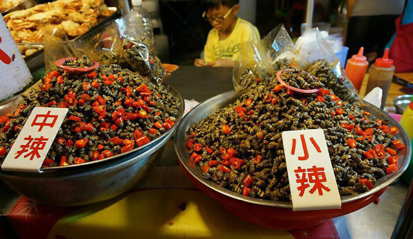 Journey to the Silk Road - Taiwan