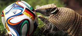 Winners and losers at the 2014 World Cup