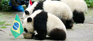 Winners and losers at the 2014 World Cup