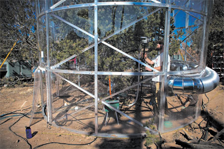 Clues to why forests die