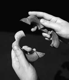 A fascination with wood