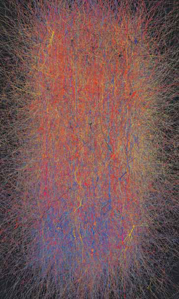 An effort to build a virtual brain