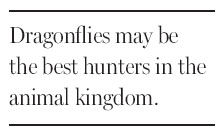 Nature's pretty, deadly drone